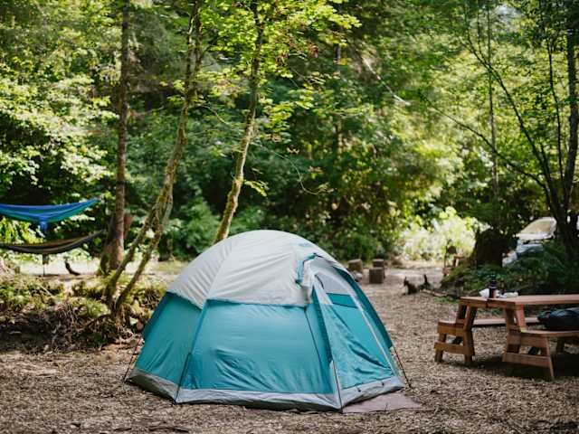 Teal dome tent beside hammocks and picnic table in dappled forest light