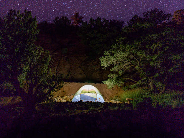 Illuminated dome tent nestled among trees under a star-filled night sky