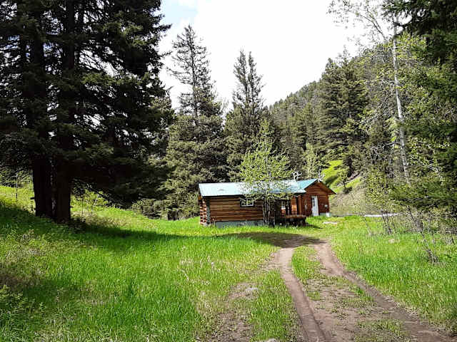 Log cabin with green roof nestled among pines beside a dirt path through a grassy meadow