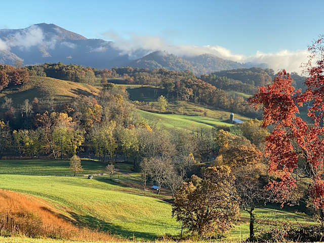 Misty Blue Ridge mountains and rolling pastures in autumn color at dawn
