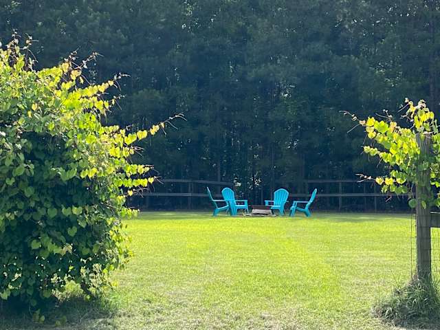 Teal Adirondack chairs around a fire pit in a sunlit clearing framed by leafy vines and a wooden fence