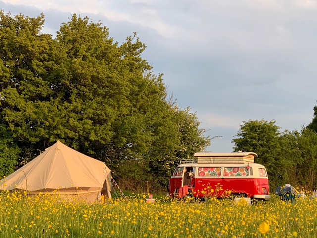 Red vintage camper van and cream bell tent in a buttercup meadow at golden hour, trees behind