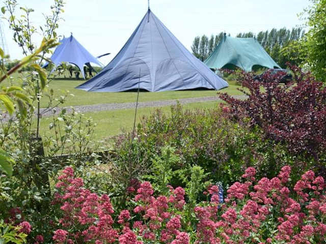 Large grey teepee-style tents pitched on a lawn behind pink flowering shrubs