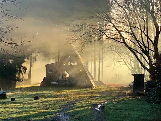 Wooden A-frame cabin in misty forest clearing lit by golden morning sun