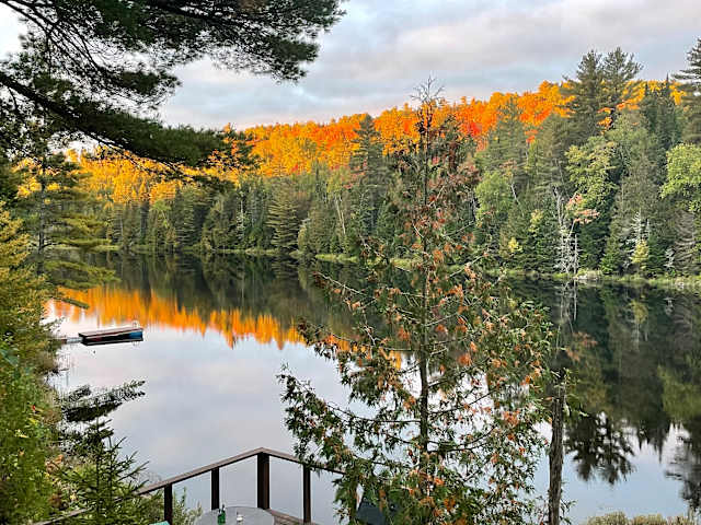 Lake surrounded by autumn forest with orange foliage reflecting on calm water at dusk