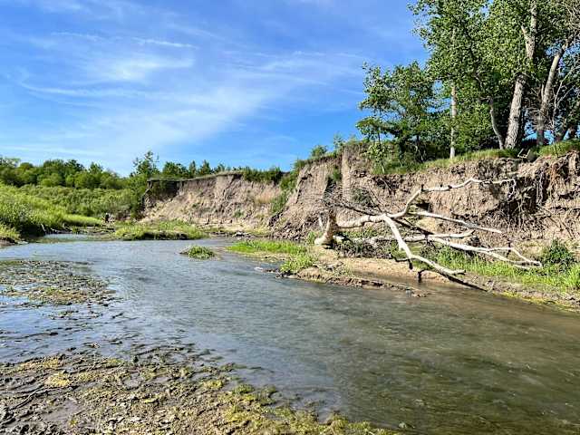 Winding river bank with eroded bluff, fallen tree, and blue sky