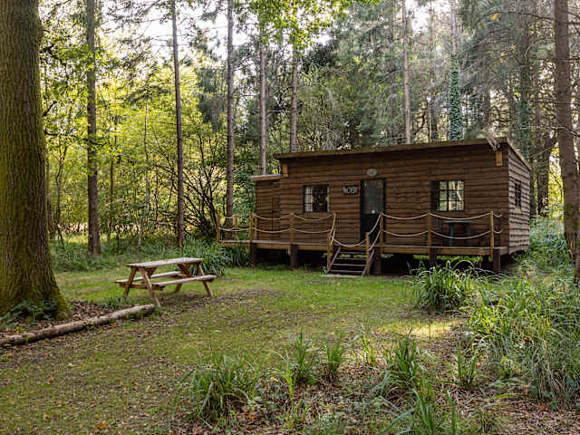 Wooden cabin with deck and steps in a sunlit forest clearing, picnic bench in foreground