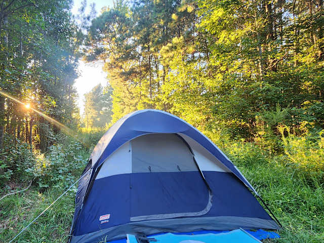 Blue dome tent pitched in forest clearing, sunlight streaming through trees at dusk