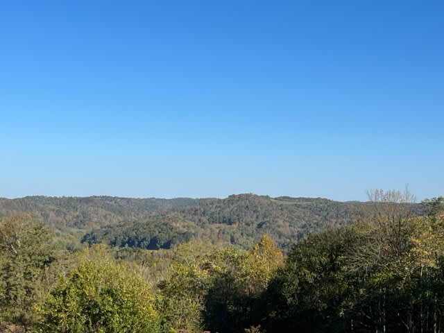 Rolling forested hills under blue sky seen from a ridge overlook