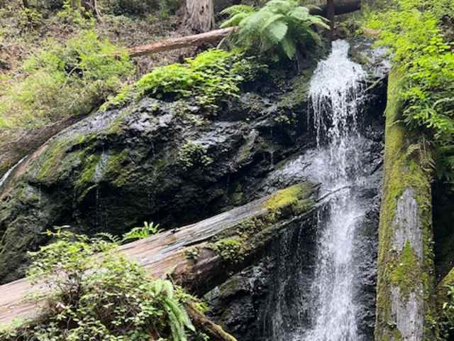Waterfall cascading over mossy rock into a forest creek pool