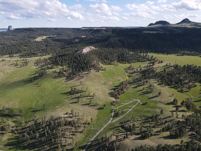 Aerial view of forested hills and meadows with Devil's Tower visible on the horizon under soft clouds