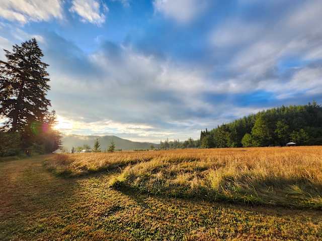 Golden sunset over open hay field with pine forest and mountains beyond
