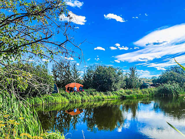 Calm pond reflecting blue sky and clouds, red canopy tent nestled among reeds and trees