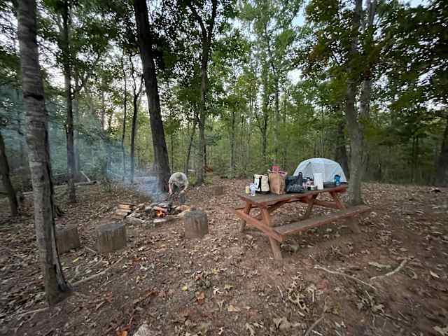 Person tending campfire beside a picnic table with tent, dusk light through trees