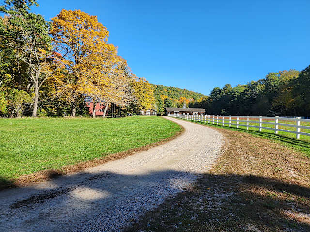 Gravel farm driveway lined with golden fall trees leading toward distant red barn and white fence