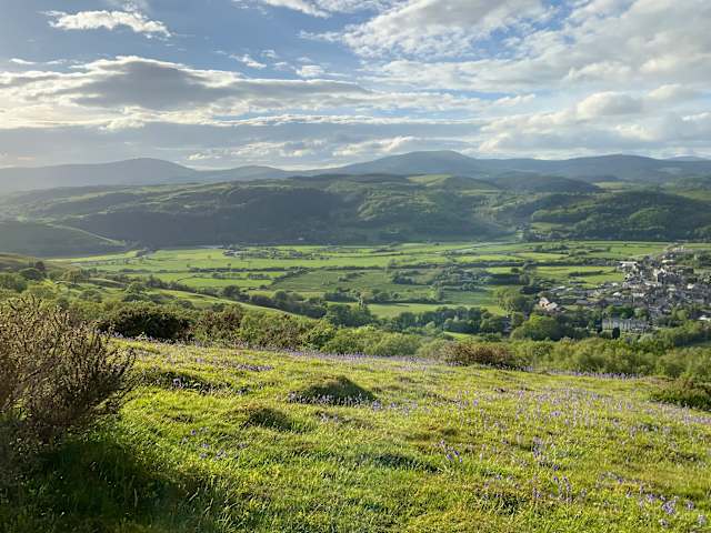 Wildflower hillside overlooking green valley, village and distant mountains under soft evening light