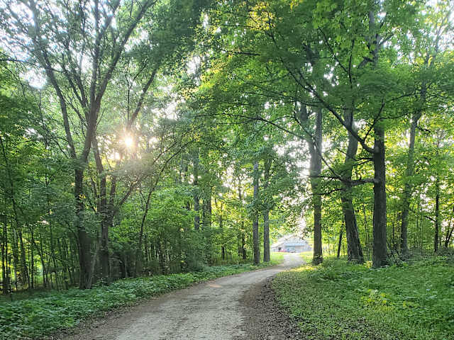 Dirt road winding through green forest with sunbeams and distant barn