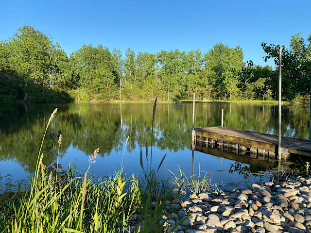 Calm pond reflecting green trees and blue sky with wooden dock and gravel shore