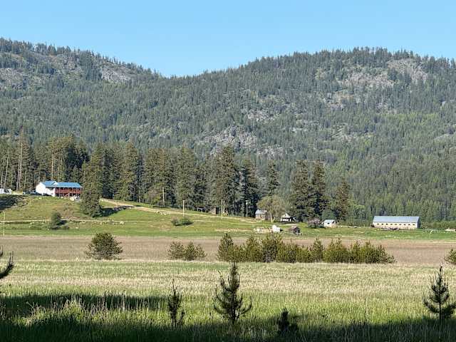 Green valley with farm buildings below forested mountains under clear sky