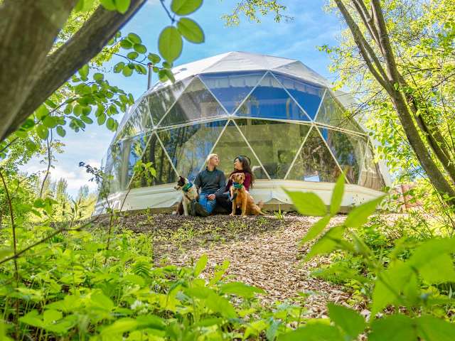 Geodesic glamping dome nestled in green forest, couple and two dogs seated outside under tree branches