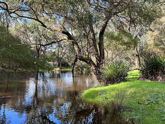 Sunlit river bend lined with trees and green grassy bank at Callcup Farm