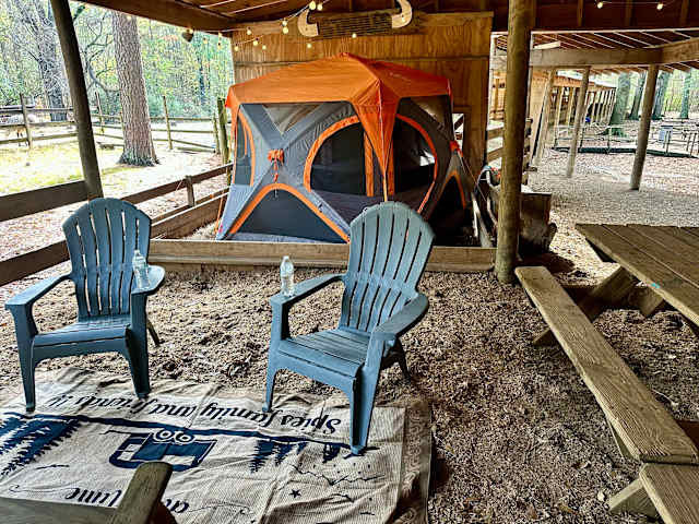 Log cabin lodge behind a stone pool with slide, surrounded by trees