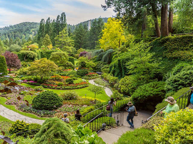 Sunken garden with colorful flowerbeds, winding paths, and visitors amid tall evergreens