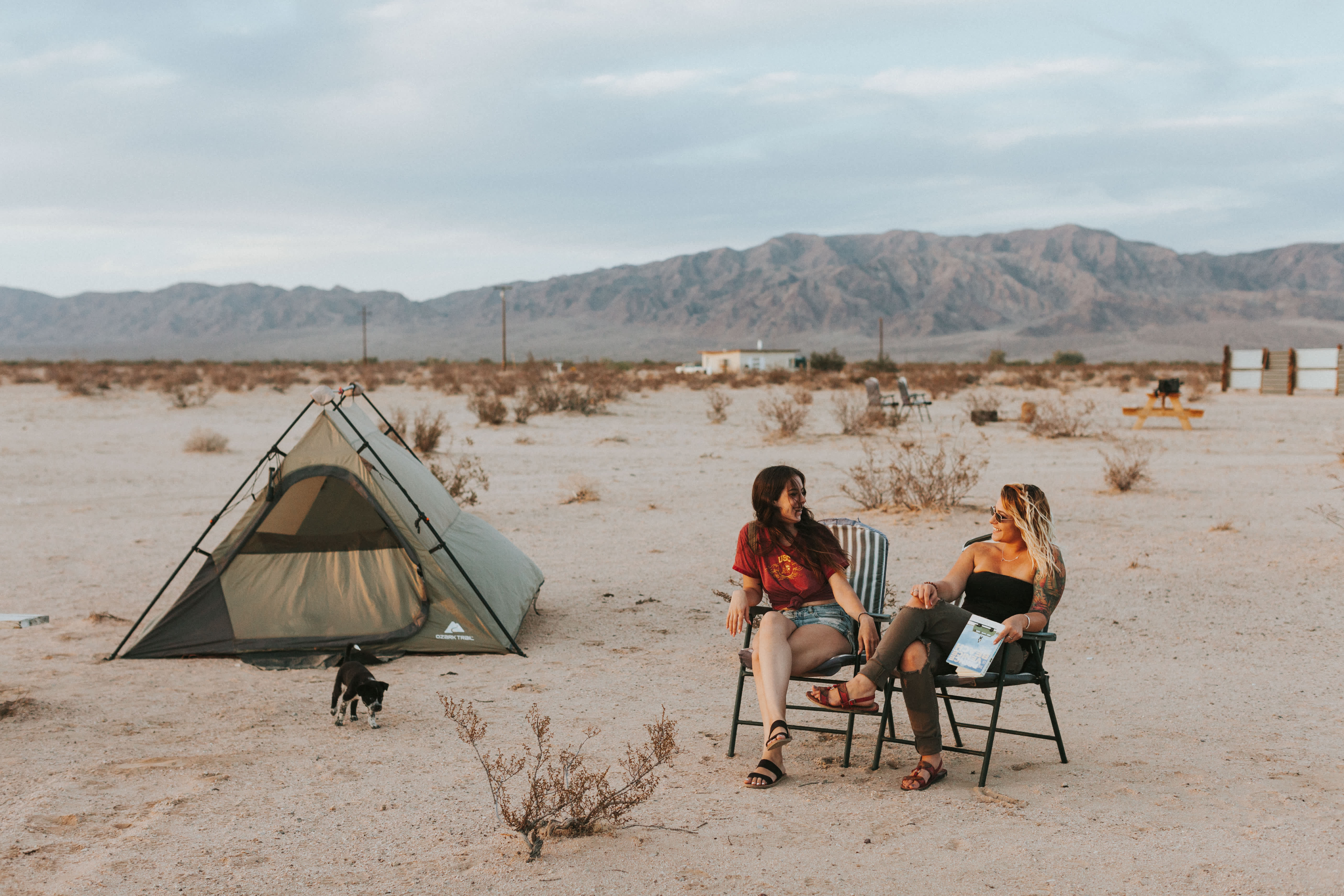 18++ Summer Camping Joshua Tree