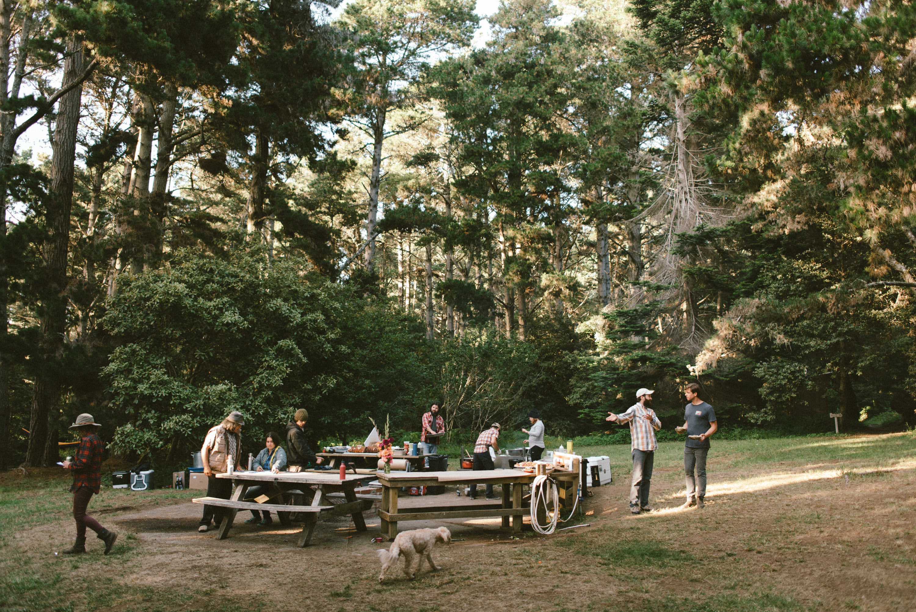 5 Step Guide To Planning A Big Group Camping Trip Hipcamp Journal Stories For Hipcampers And Our Hosts