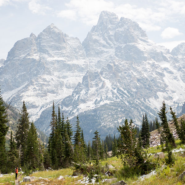 Teton