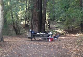Hamilton Barn Environmental Camp Humboldt Redwoods Ca 3