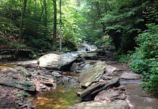 Ricketts Glen Park Campground Ricketts Glen Park Pa 9 Hipcamper