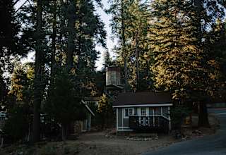 Cute Cabin In The Woods Antlers Inn Forest Cabins Ca 5