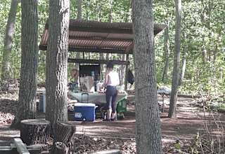 Best Camping In And Near Bass River State Forest
