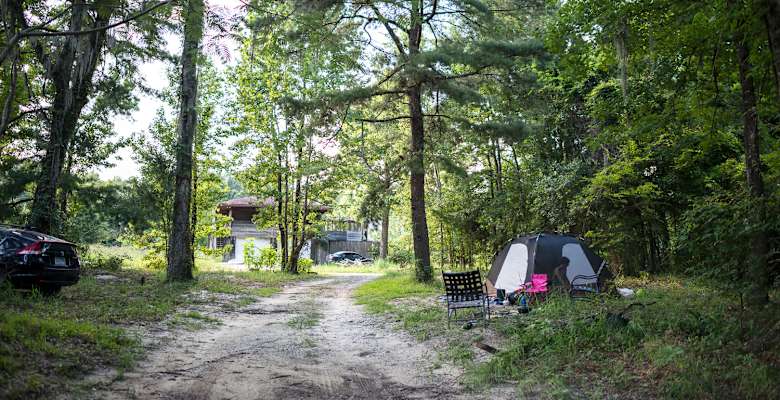 Best Camping In And Near Tickfaw State Park