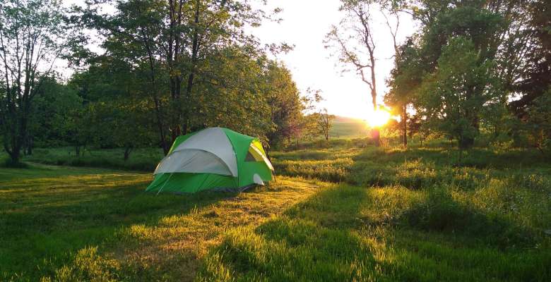 Best Camping In And Near Tygart Lake State Park