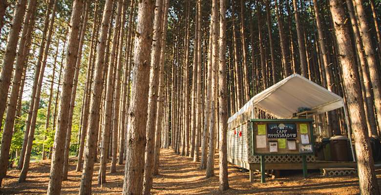 The 30 Best Campgrounds Near Maple City Michigan