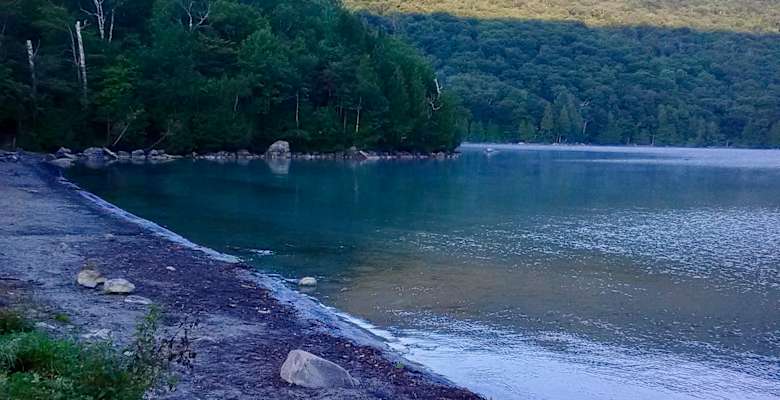 Best Camping In And Near Lake Francis State Park