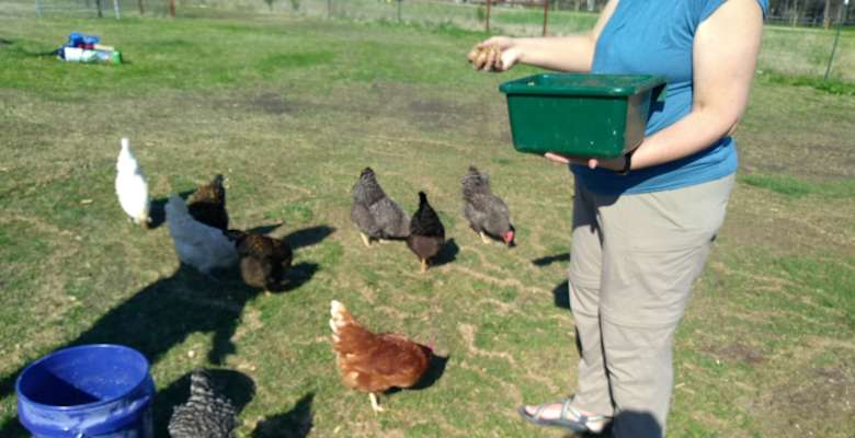 The 30 Best Campgrounds Near Plano Texas