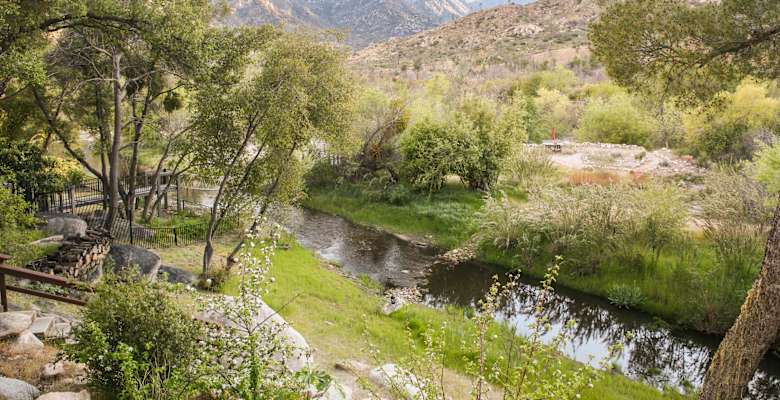 The River Willow Cabin Camping