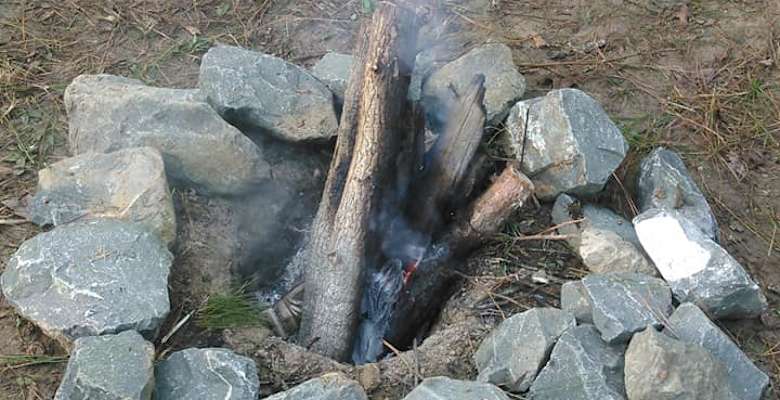 1 Campground In Kisatchie National Forest Over 30 Campsites Nearby