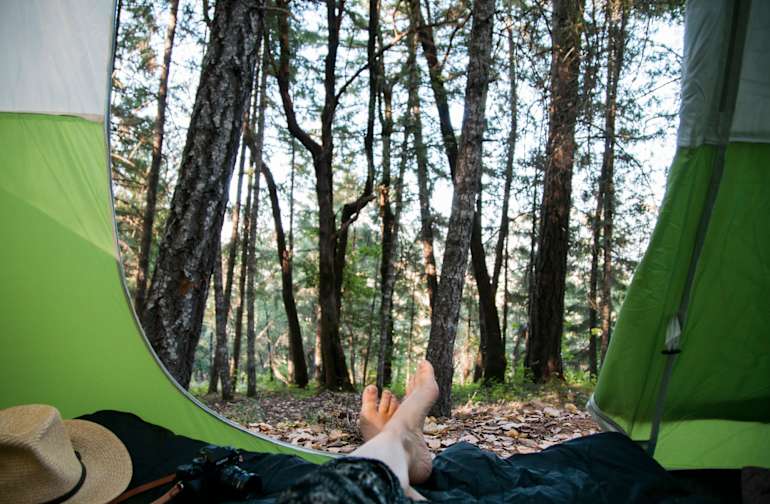 Sherwood Forest Camping >> Sherwood Lake Forest Camping Sherwood Forest Camping >> Sherwood Lake Forest Camping