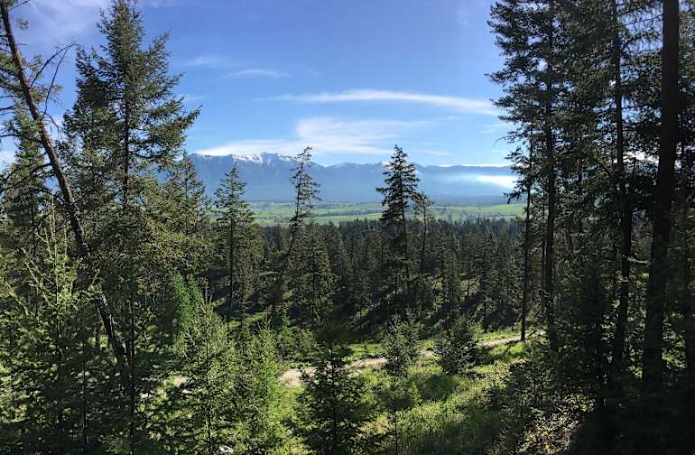 Best Camping In And Near Kootenai National Forest