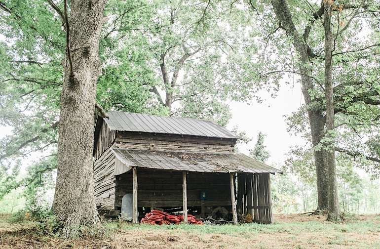 Best Camping In And Near Holliday Lake State Park