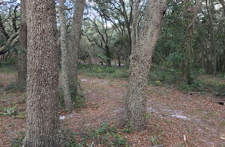 Best Camping In And Near Cayo Costa State Park