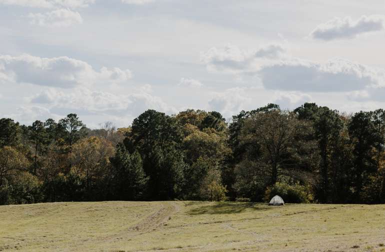 Best Camping In And Near South Toledo Bend State Park