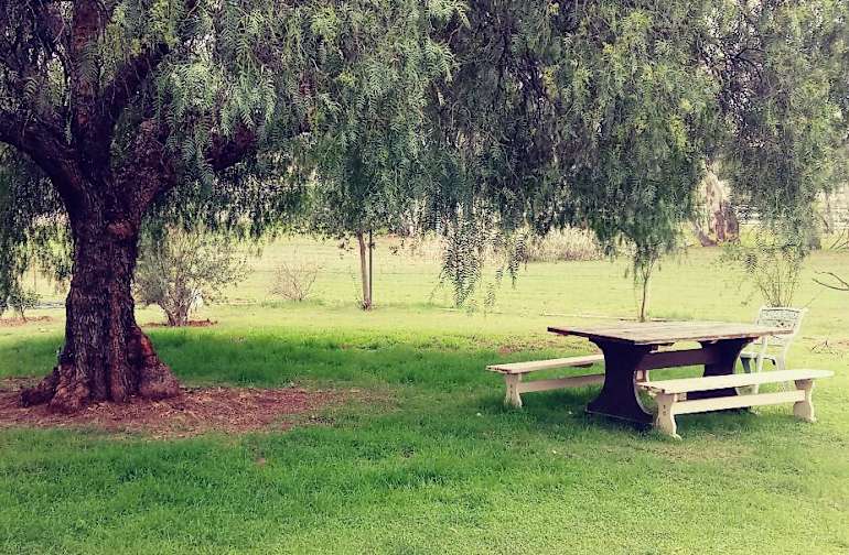 Best Camping in and Near South Carlsbad State Beach