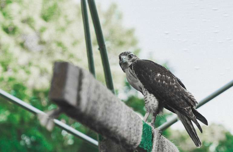 30 Best Campgrounds In Louisiana