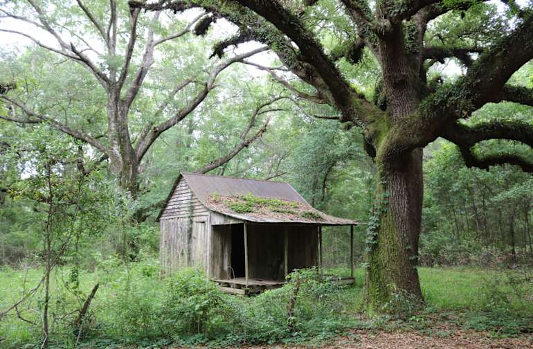 Best Camping In And Near Percy Quin State Park