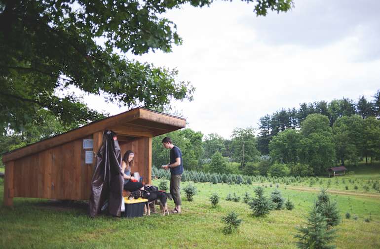 The 30 Best Campgrounds Near Akron Ohio